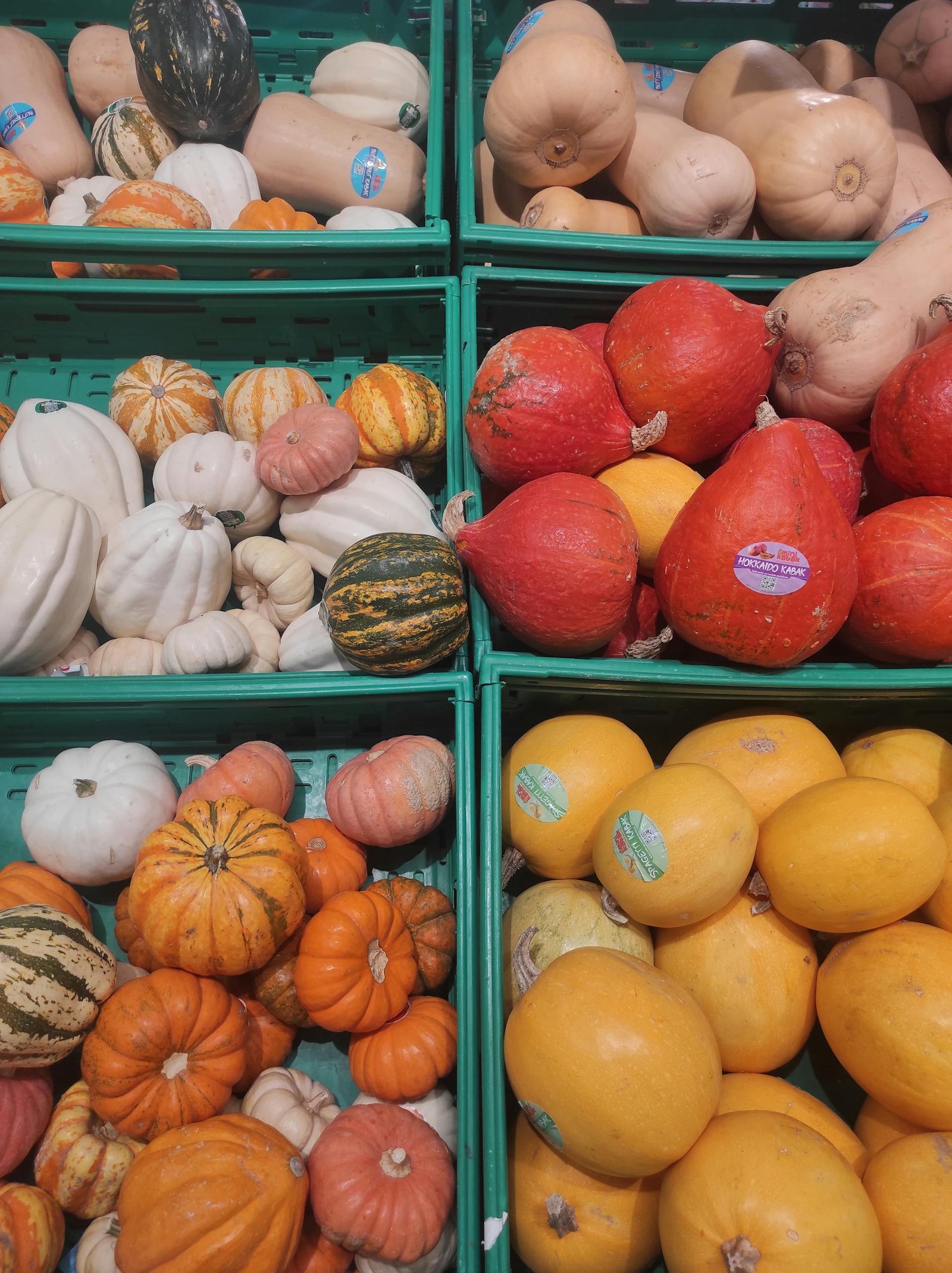 Top view of various pumpkins and squash in market display bins, showcasing autumn harvest variety.