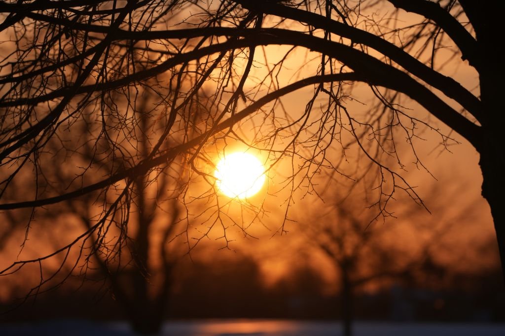 Silhouetted bare tree branches at sunset create a dramatic winter scene.